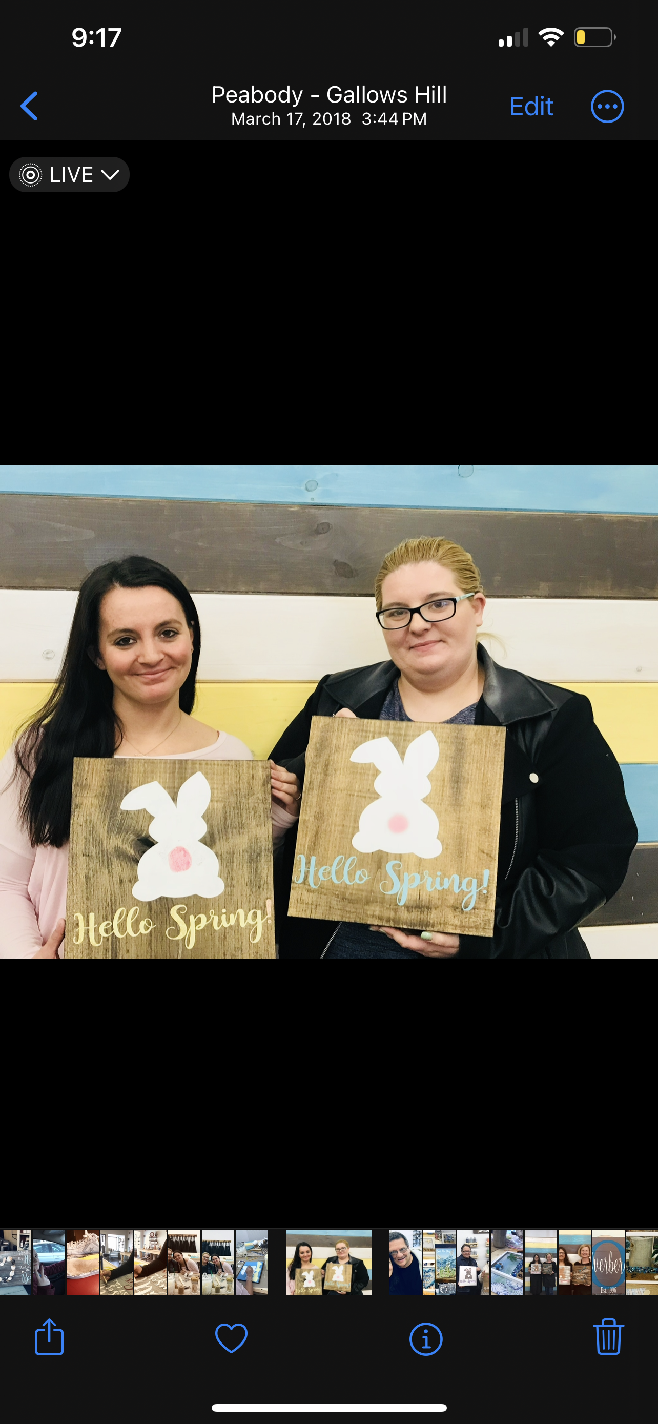 Hello Spring bunny | Design 1AB