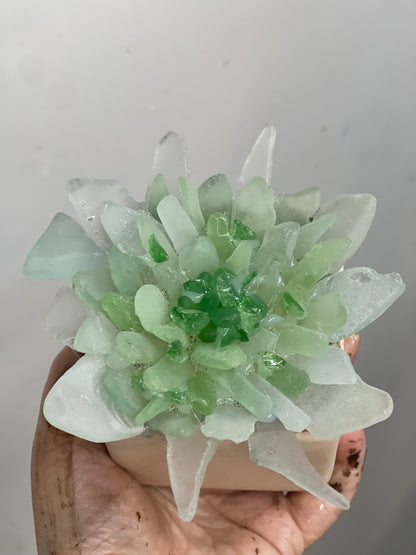 DIY Sea Glass Resin Art | Join Open Sea Glass Session